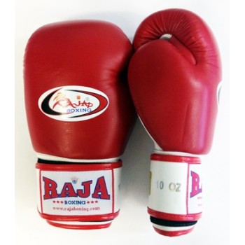 Перчатки боксерские тренировочные Raja RBGV-1B