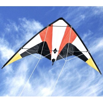 Воздушный змей Hasi управляемый скоростной Бумеранг