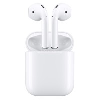 Беспроводные наушники Apple AirPods 2 with Charging Case