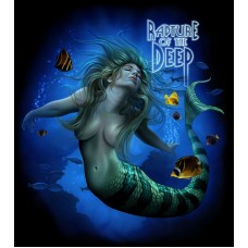 Футболка Amphibious Outfitters Shirts Rapture (D0050b)