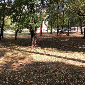 Телескоп Xiaomi Celestron SCDT-1042