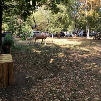 Телескоп Xiaomi Celestron SCDT-1042