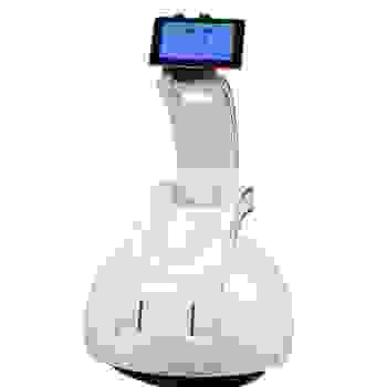 Интерактивный робот R.Bot Synergy Swan
