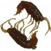 Комплект рыболовных силиконовых приманок креветка RuBaits Shrimp 1.5" (15 шт.)