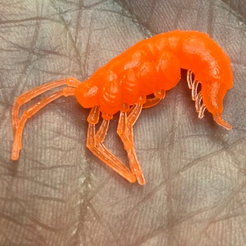 Комплект рыболовных силиконовых приманок креветка RuBaits Shrimp 1.5" (15 шт.)