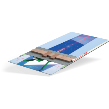 Сноуборд женский Capita Space Metal Fantasy (20-21)