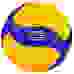 Мяч волейбольный Mikasa V300W FIVB