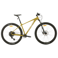 Велосипед горный Alpinebike Alpstein-Altmann Coil 10 (2024)