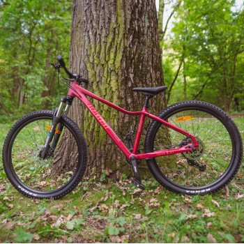 Велосипед горный Alpinebike Terra 8W (2026)