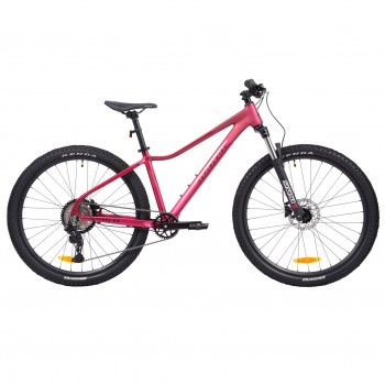 Велосипед горный Alpinebike Terra 8W (2026)