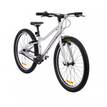Велосипед подростковый Alpinebike Pegas 3-24