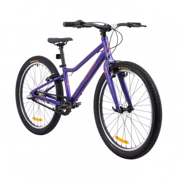 Велосипед подростковый Alpinebike Pegas 3-24