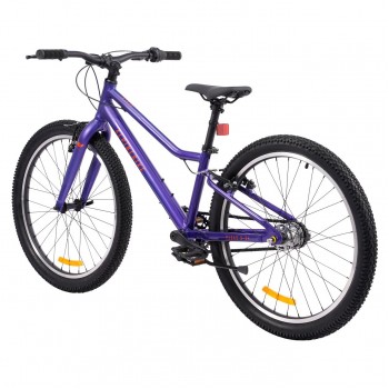 Велосипед подростковый Alpinebike Pegas 3-24