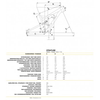 Велосипед горный Bergamont Straitline Team (2015)