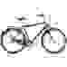 Велосипед городской Bergamont Summerville N7 FH Gent (2021)