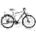 Велосипед туристический Bergamont Horizon N8 Belt Gent (2021)