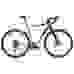 Велосипед гравийный Bianchi Gravel Arcadex GRX815 Di2 (2021)