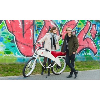 Велосипед Lohner Stroler (2017)