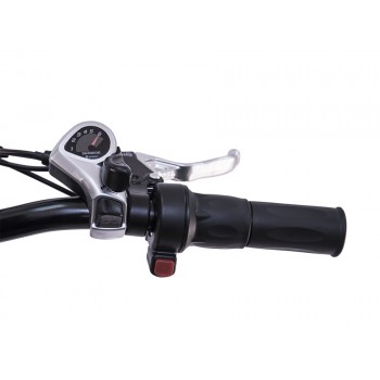 Электровелосипед Wellness Prado