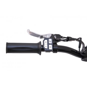 Электровелосипед Wellness Prado