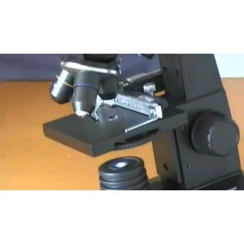 Микроскоп цифровой Bresser LCD 50x–2000x (64647)