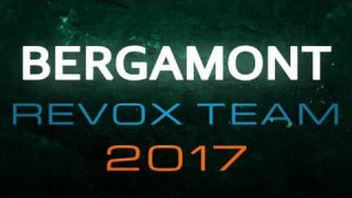 Bergamont Revox 2017