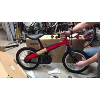 Велосипед детский Xiaomi Ninebot Kids Sport Bike 14