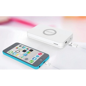 Беспроводное аккумуляторное зарядное устройство FluxPort Accu 100