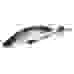Крыло универсальное Qbicle Tangent QF235E